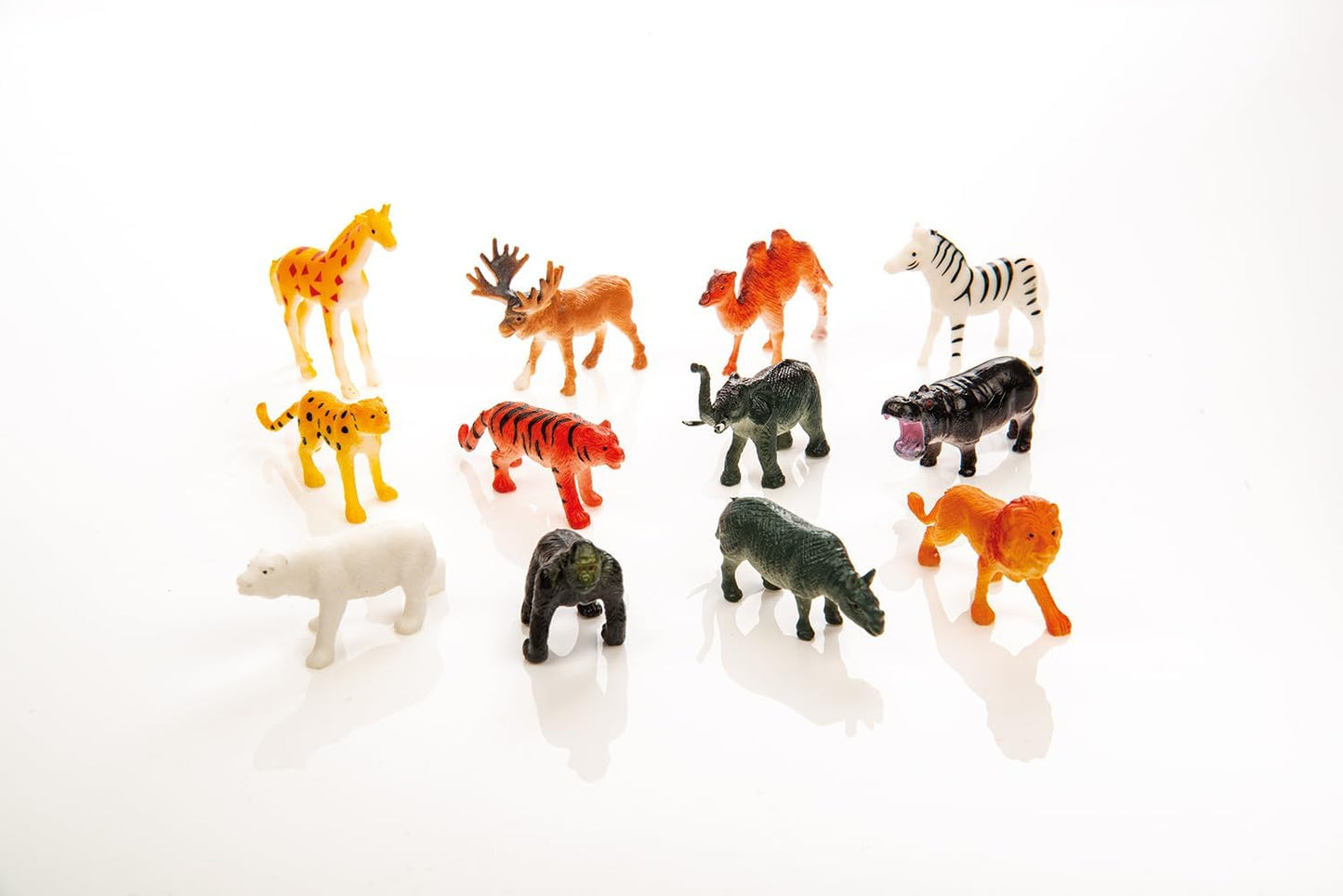 Wild Animals Boxed by the Dozen