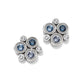 Constella Cluster Post Earrings Silver/Blues