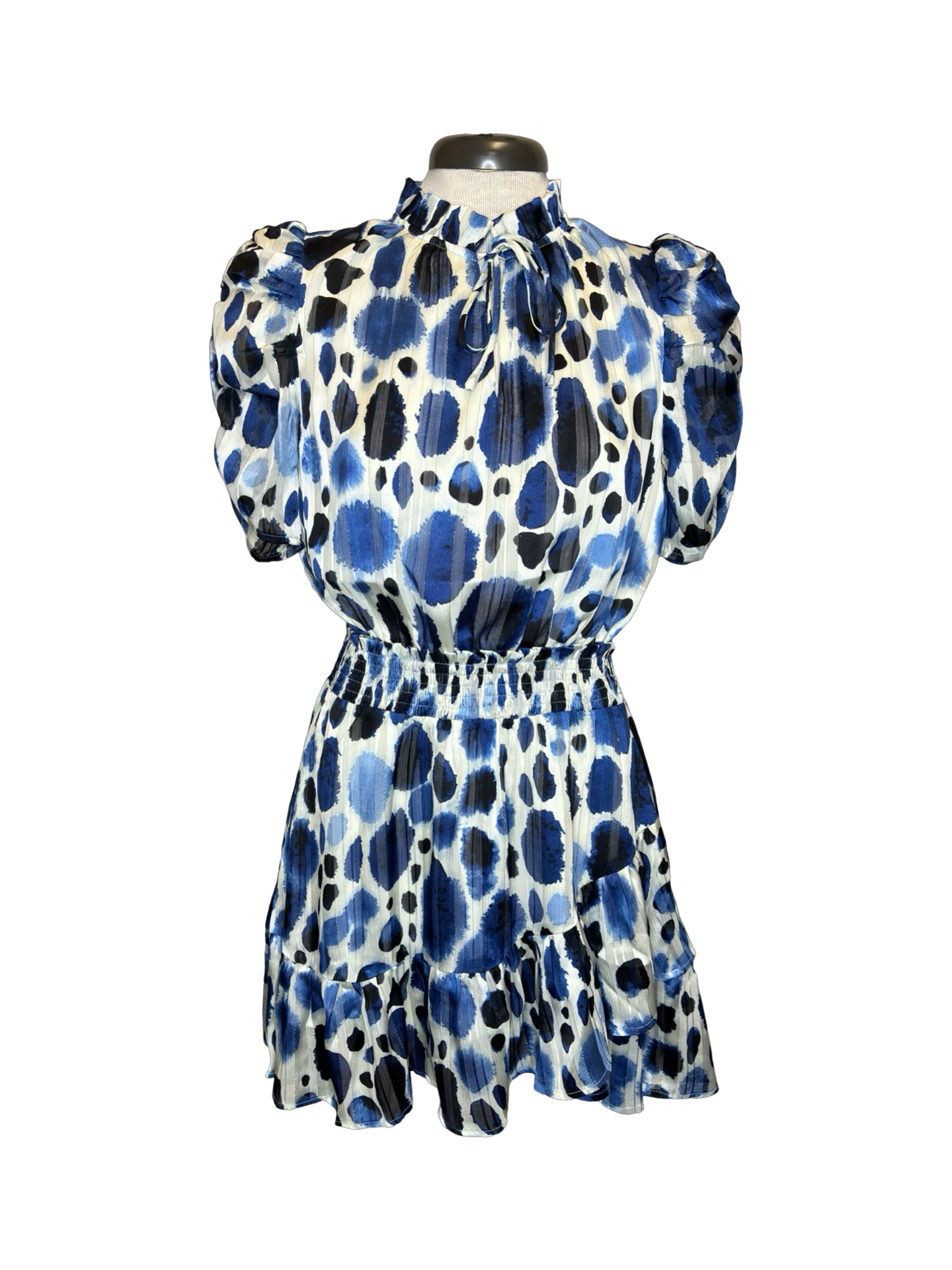 Blue Globule Cinch Waist Dress