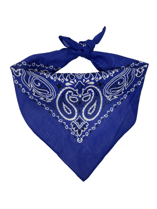 Wrangler Blue Handkerchief