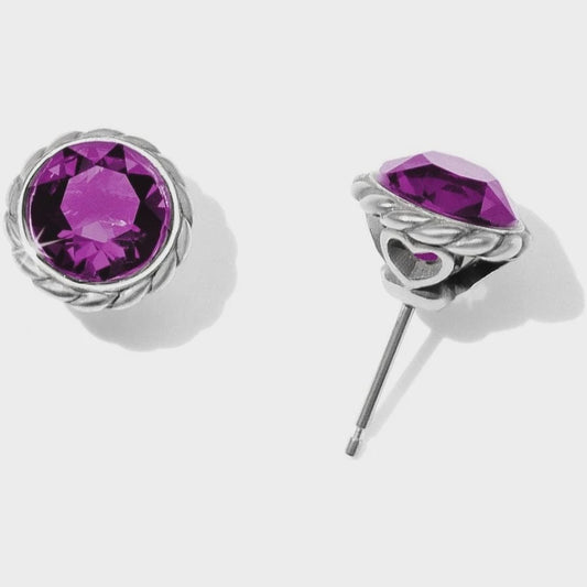 Amethyst Iris Stud Earrings